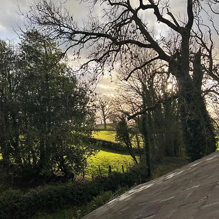 Feriehus Helm Mount & *